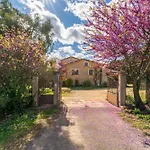 Domaine Des Maladieres